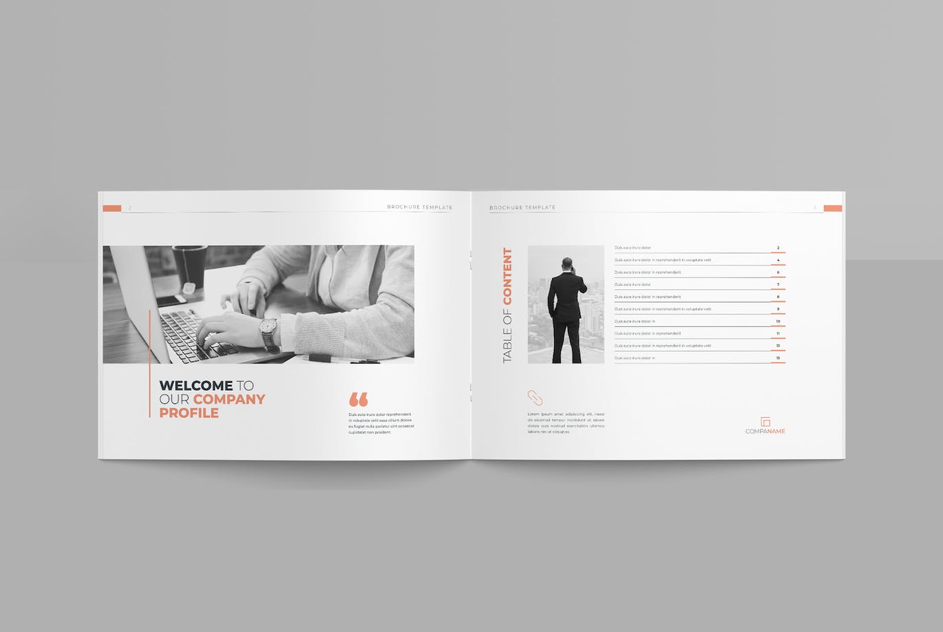 公司简介横版杂志版式设计模板 Company Profile Landscape Brochure 幻灯图表 第5张