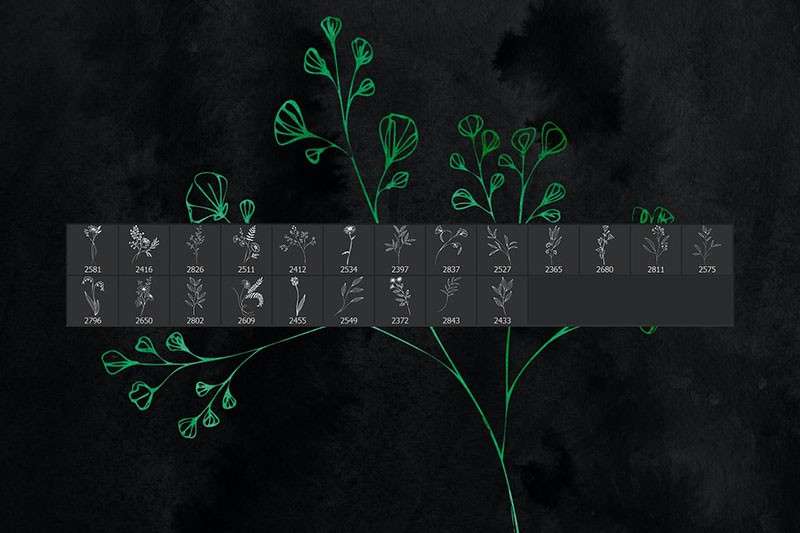 22个植物花卉线描画PS笔刷 笔刷资源 第3张