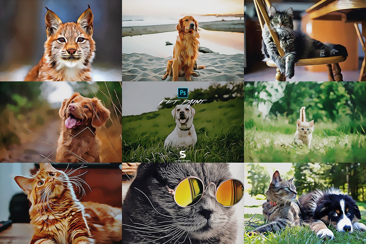 宠物卡通绘画PS照片效果模板 Pets Paint Photoshop Effect 插件预设 第5张