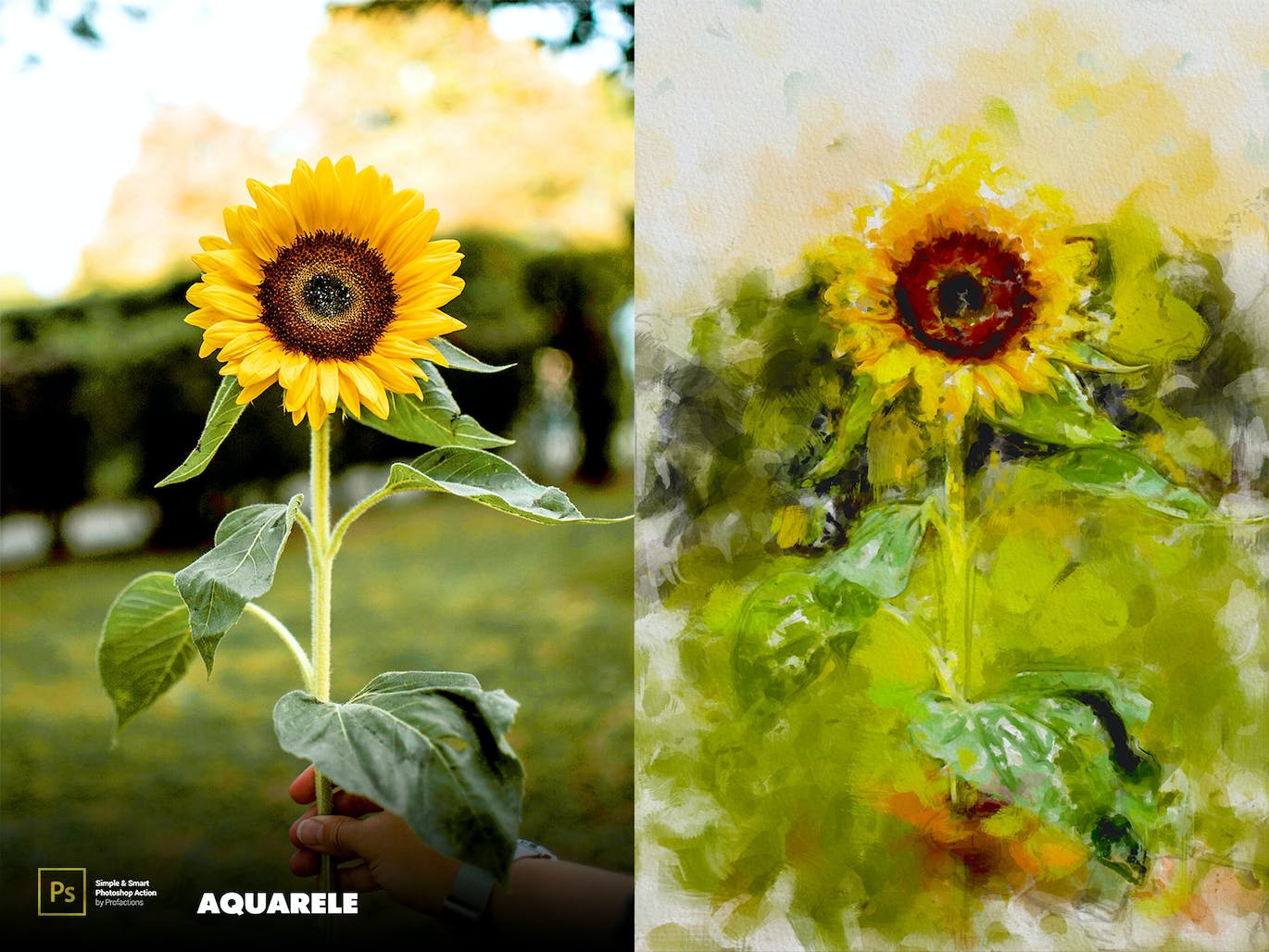 水彩画效果照片处理ps动作 Aquarelle Photoshop Action 插件预设 第11张