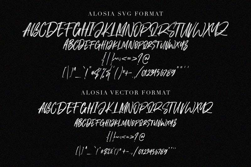 Alosia帅气的英文笔刷字体 设计素材 第7张