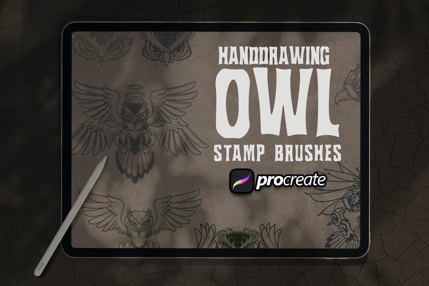 猫头鹰Procreate印章绘画笔刷素材 Owl Handrawing Brush Stamp Procreate 笔刷资源 第2张