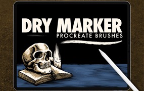 干式记号笔Procreate绘画笔刷素材 Dans Dry Marker Brush Procreate