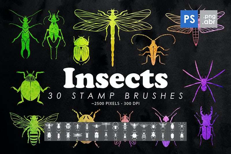 30个高清昆虫剪影图案PS笔刷 笔刷资源 第1张