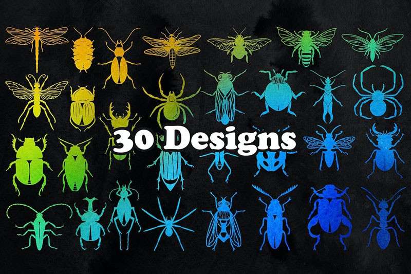 30个高清昆虫剪影图案PS笔刷 笔刷资源 第2张