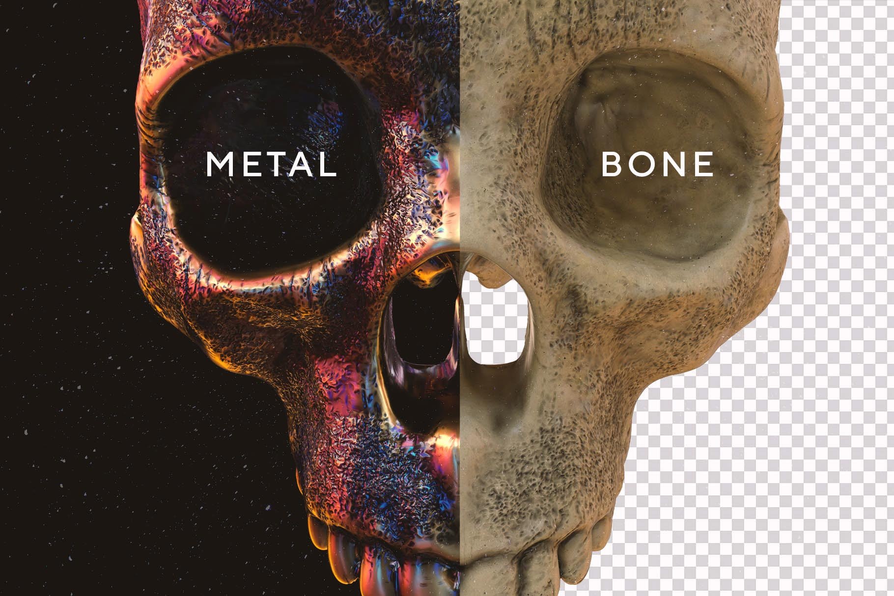 Skulls 108个高分辨率骷髅头骨逼真骨骼金属纹理PNG素材 图片素材 第14张