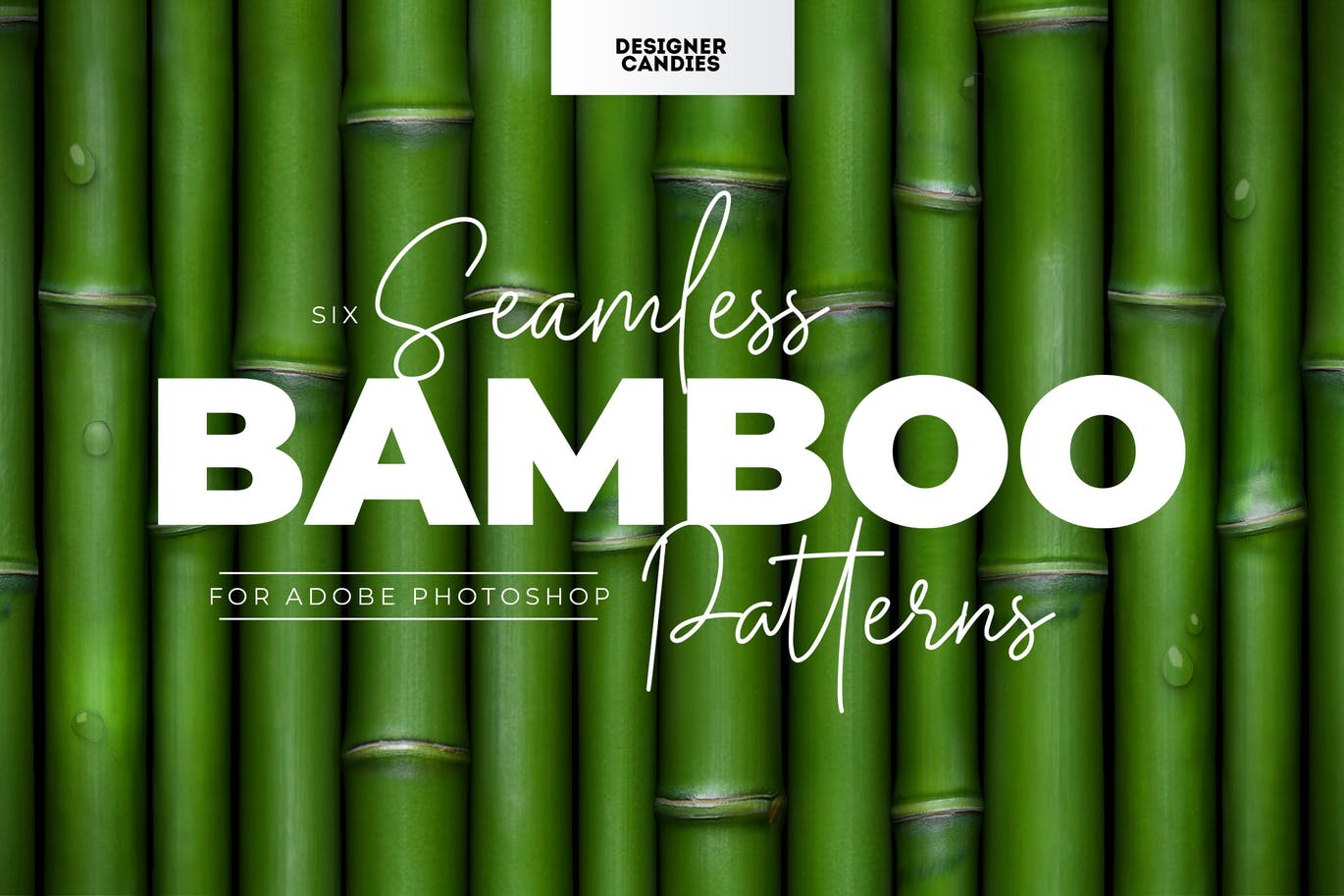 独特的竹子图案素材 Bamboo Patterns 图片素材 第1张
