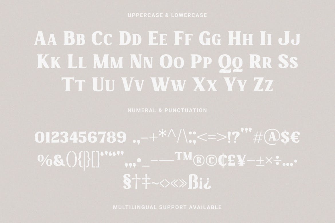 厚重而独特的衬线字体素材 Charmist – Thick And Unique Serif 设计素材 第3张