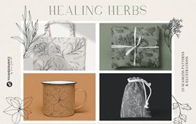 草药无缝矢量图案和插画 Herbs Patterns & Illustrations