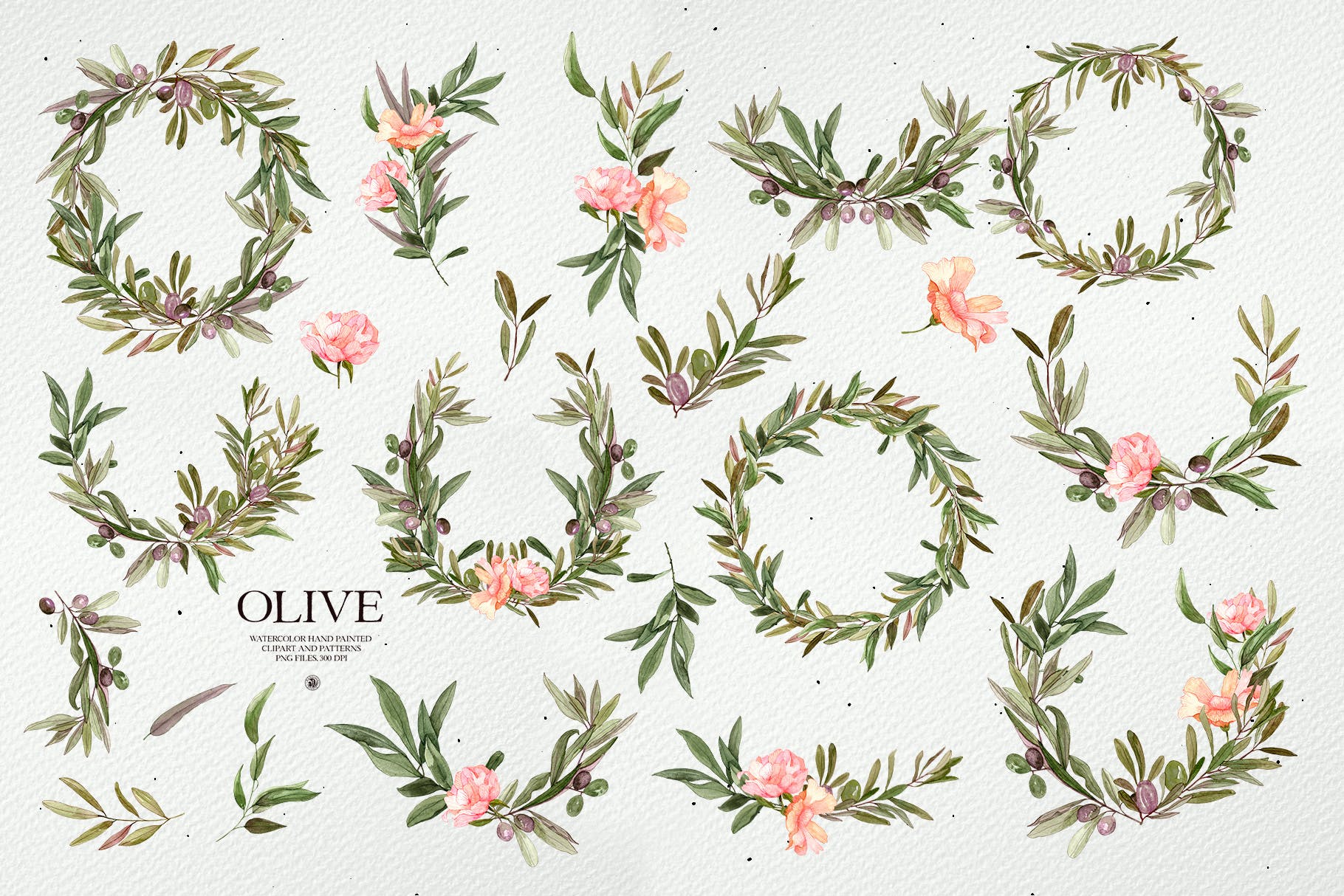 水彩橄榄框架和图案素材 Watercolor Olive – frames and patterns 图片素材 第10张