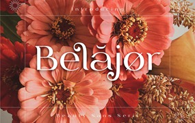 美丽优雅的无衬线字体素材 Belajor – Sans Serif Font