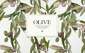 水彩橄榄框架和图案素材 Watercolor Olive – frames and patterns