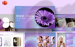 美妆品牌指南Powerpoint模板下载 Sunni Brand Guide – PowerPoint