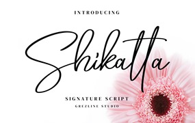 女性主义精美签名字体 Shikatta – Signature Font