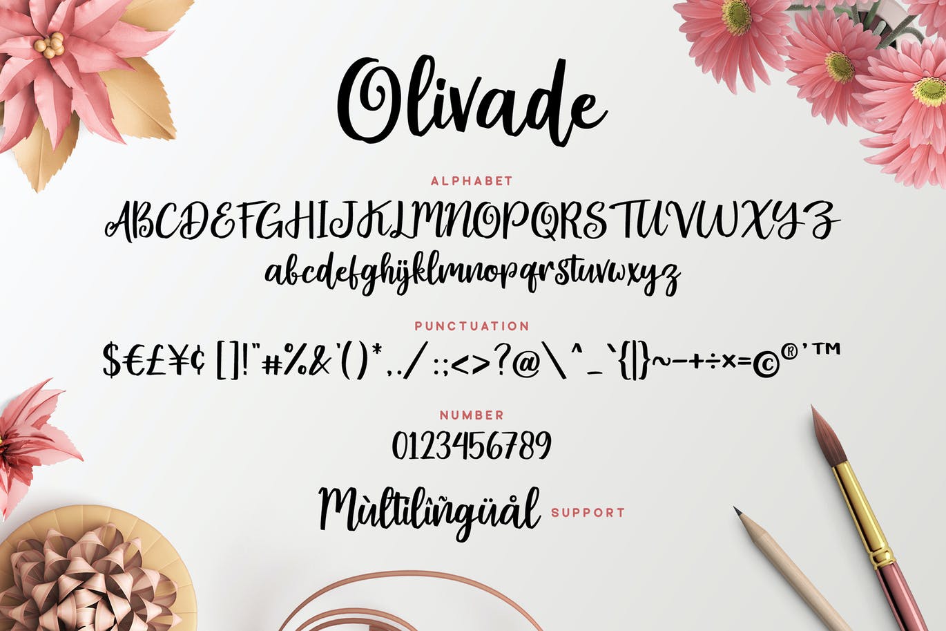 清新有机的手写脚本字体 Olivade – Handwritten Script 设计素材 第2张