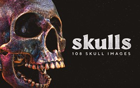 Skulls 108个高分辨率骷髅头骨逼真骨骼金属纹理PNG素材