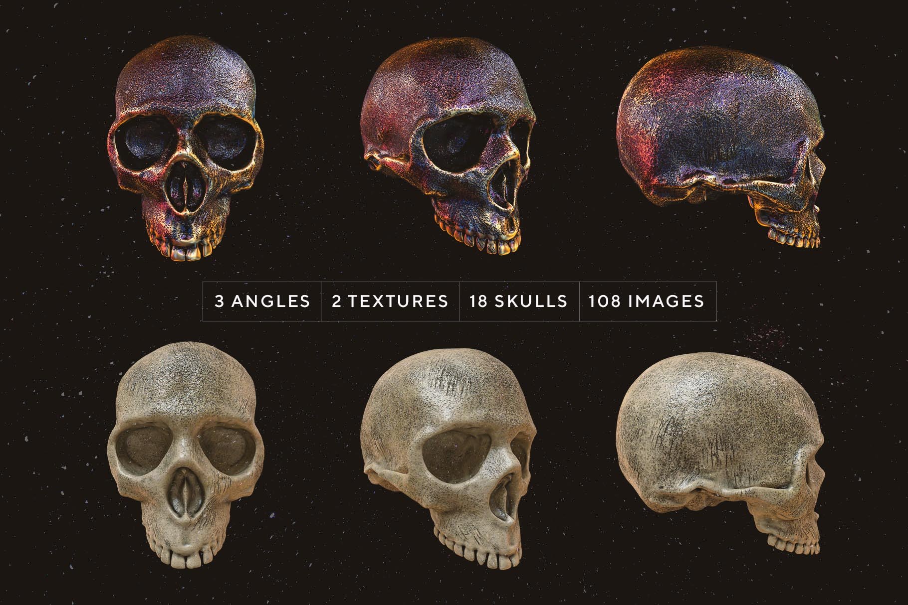 Skulls 108个高分辨率骷髅头骨逼真骨骼金属纹理PNG素材 图片素材 第15张