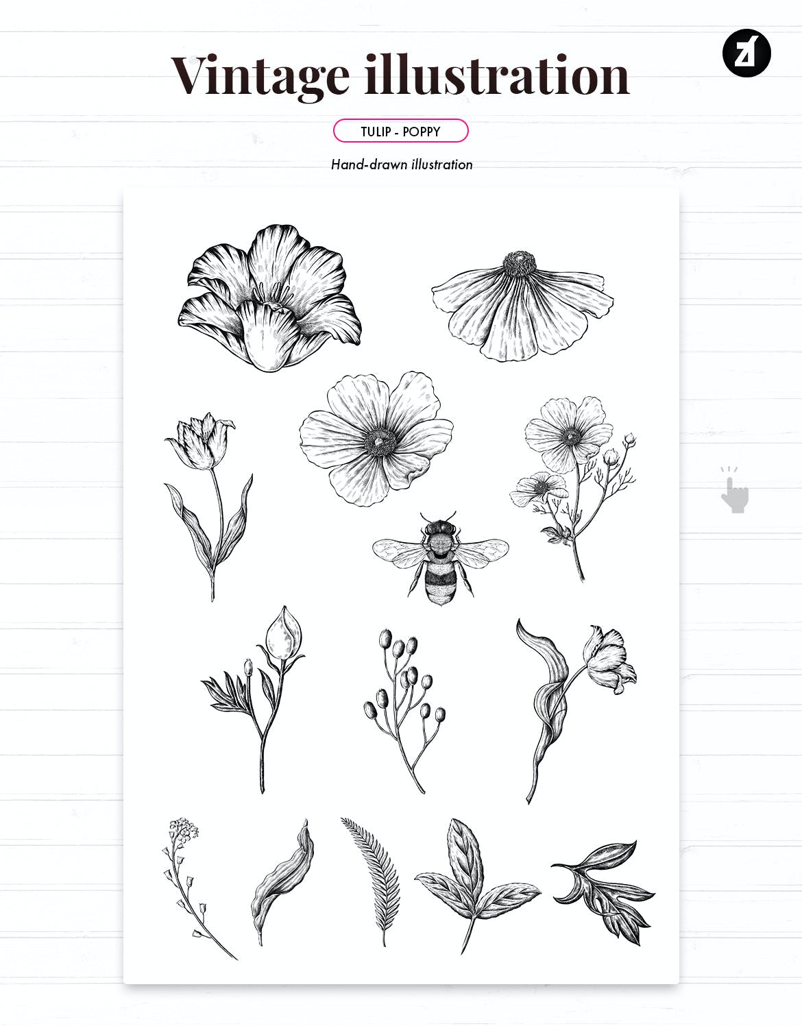 郁金香&罂粟复古插画和图案 Tulip and poppy vintage illustration and pattern 图片素材 第5张