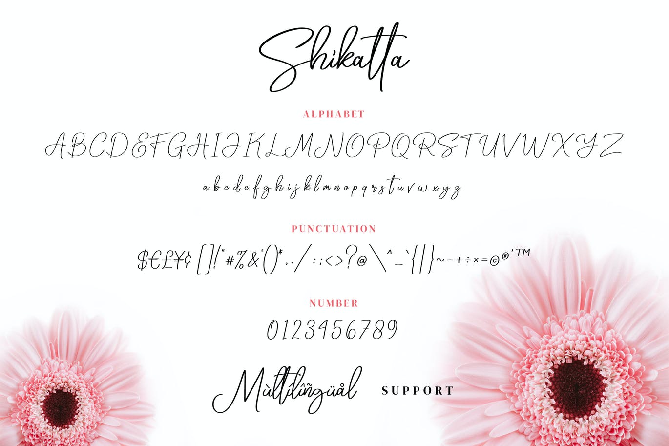 女性主义精美签名字体 Shikatta – Signature Font 设计素材 第4张