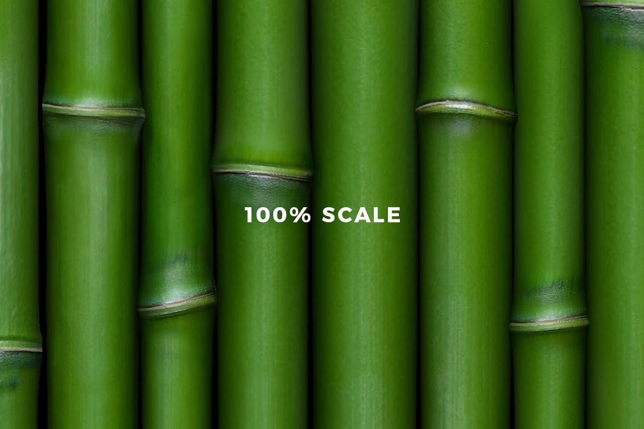 独特的竹子图案素材 Bamboo Patterns 图片素材 第2张