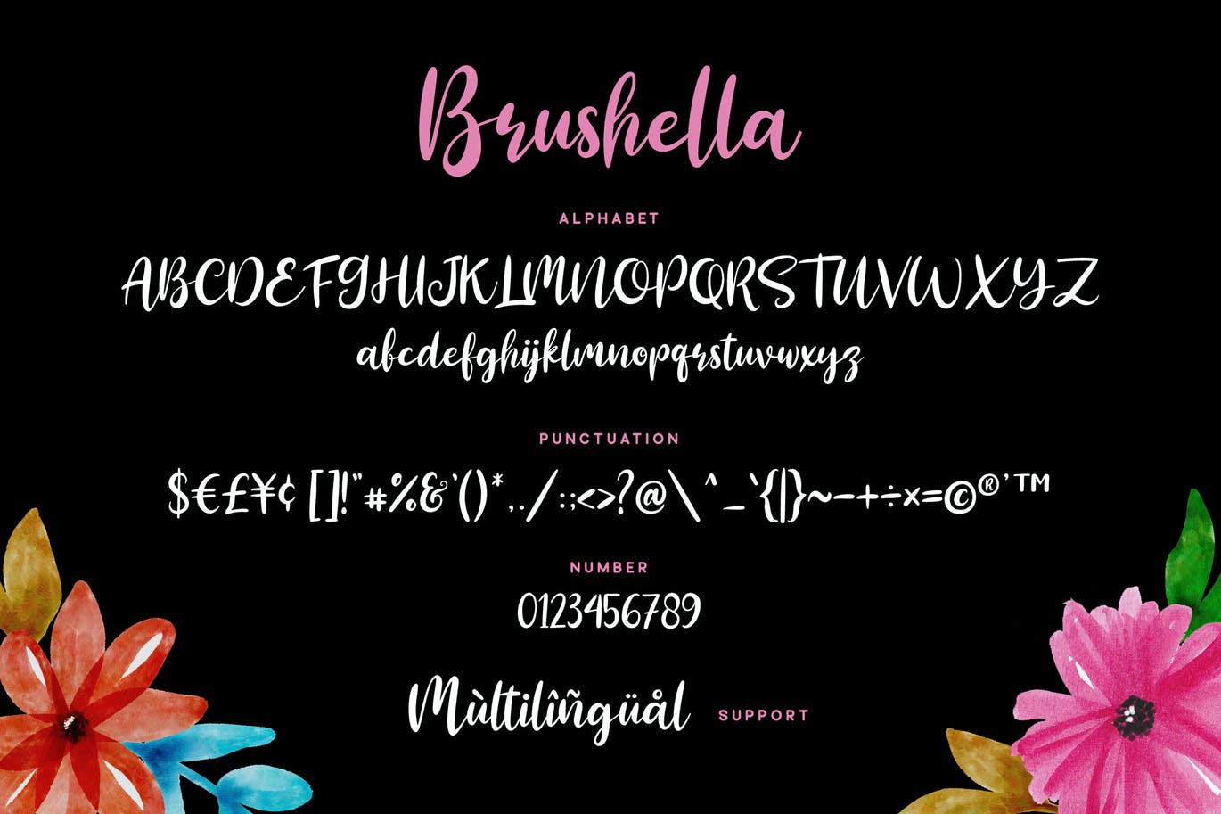 美丽精致的脚本字体 Brushella Font 设计素材 第5张