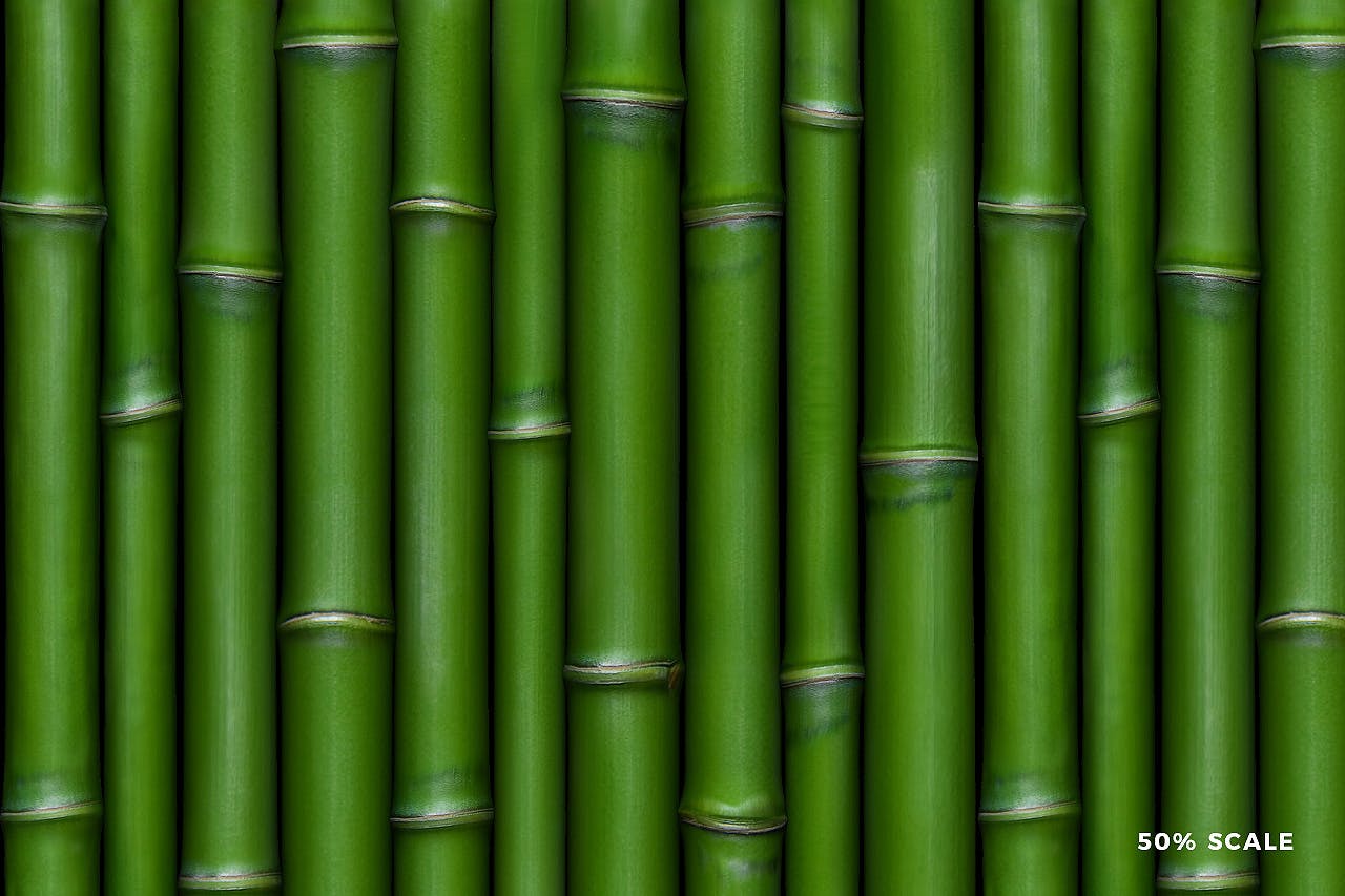 独特的竹子图案素材 Bamboo Patterns 图片素材 第3张