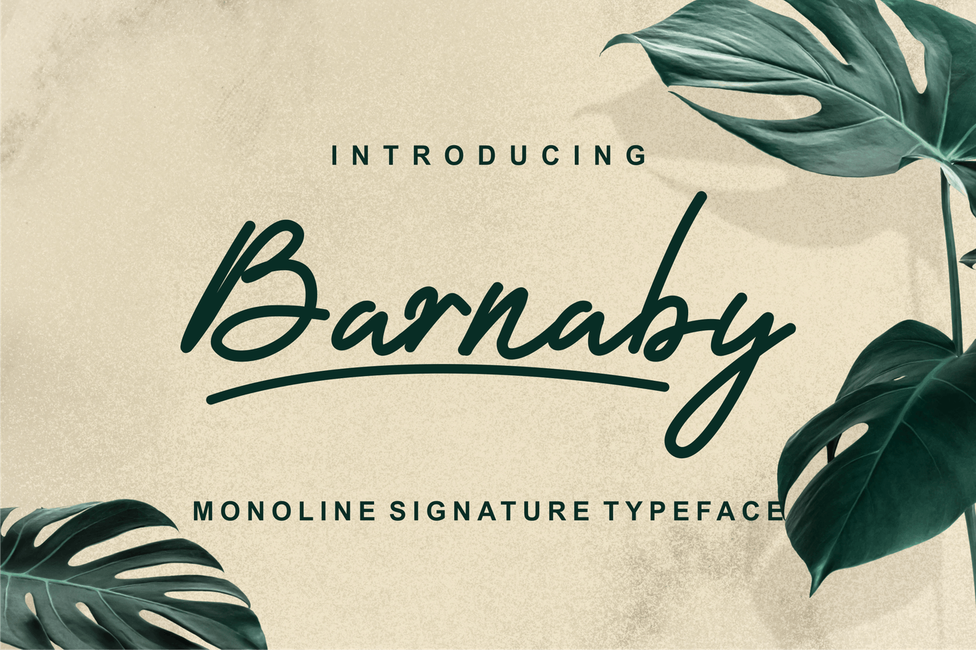 单线签名手写字体 Barnaby Monoline Signature Font 设计素材 第1张