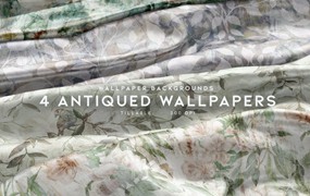 4个复古花卉枝叶背景壁纸 4 Antiqued Wallpapers