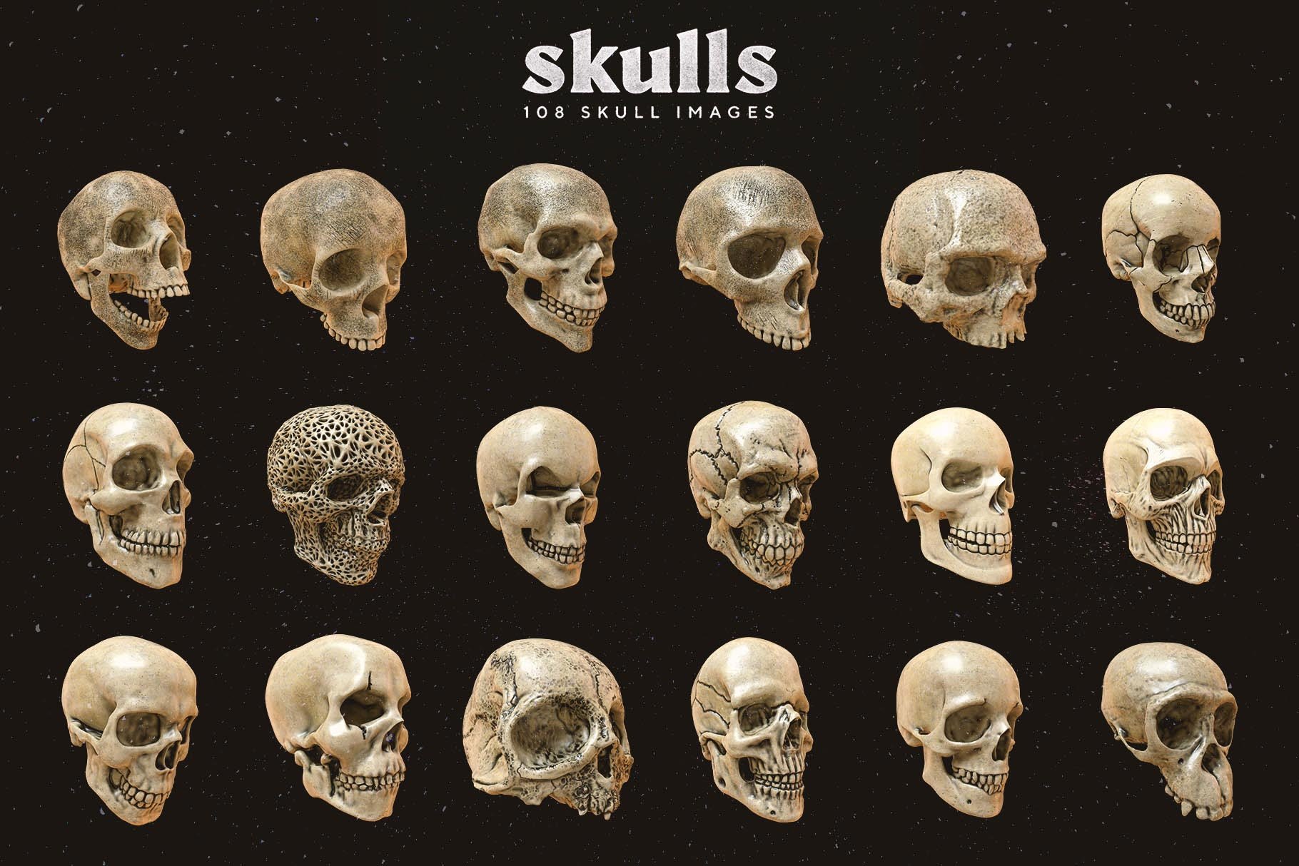Skulls 108个高分辨率骷髅头骨逼真骨骼金属纹理PNG素材 图片素材 第4张