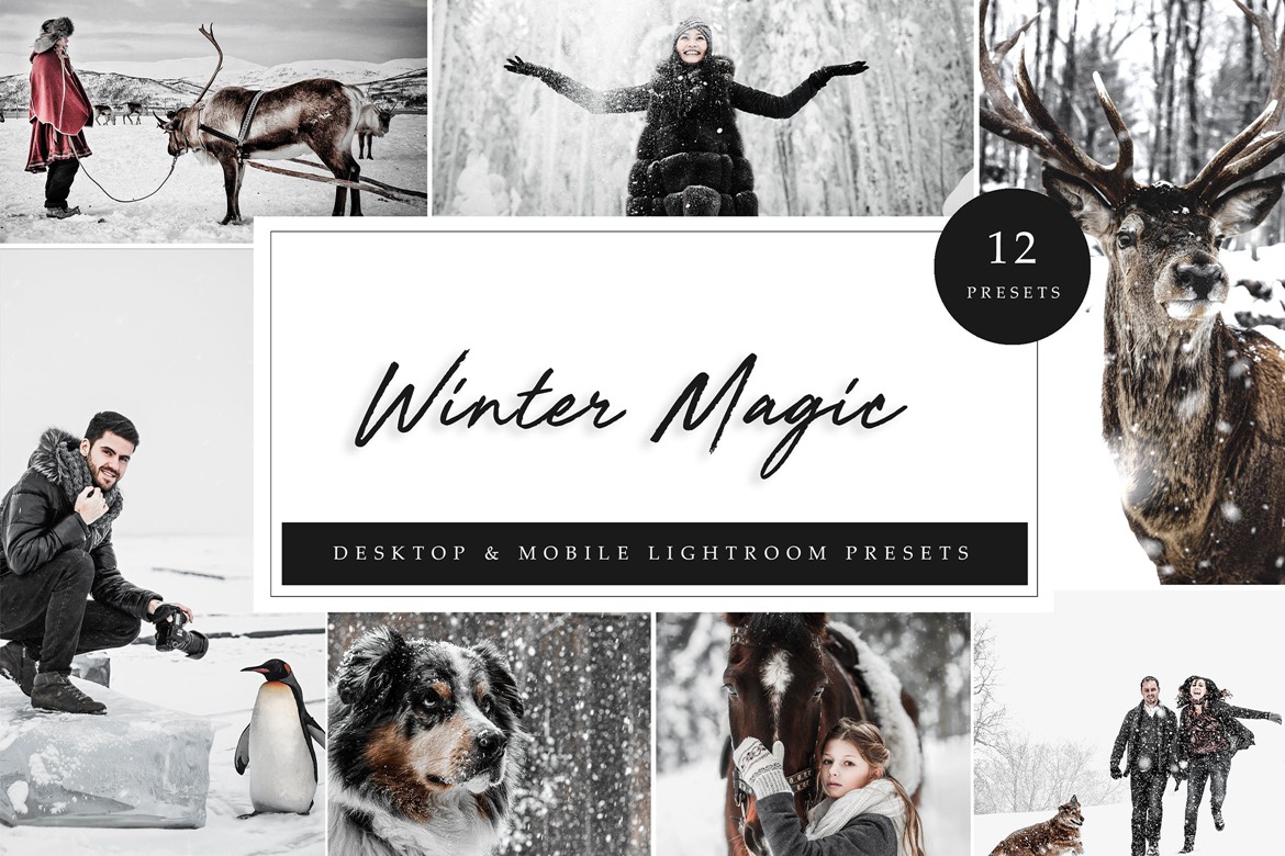 冬季白色滤镜LR照片调色预设 Lightroom Presets – Winter Magic 插件预设 第1张