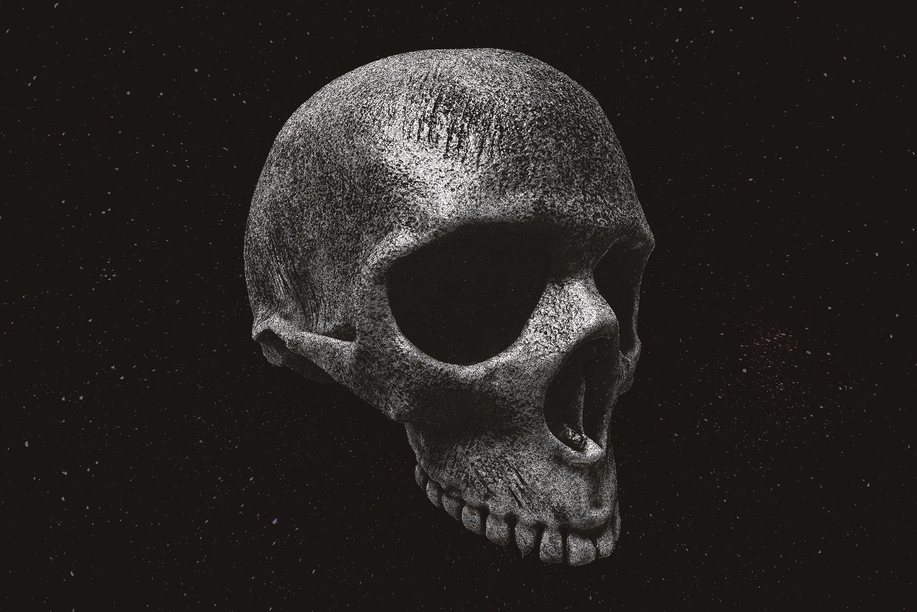 Skulls 108个高分辨率骷髅头骨逼真骨骼金属纹理PNG素材 图片素材 第11张