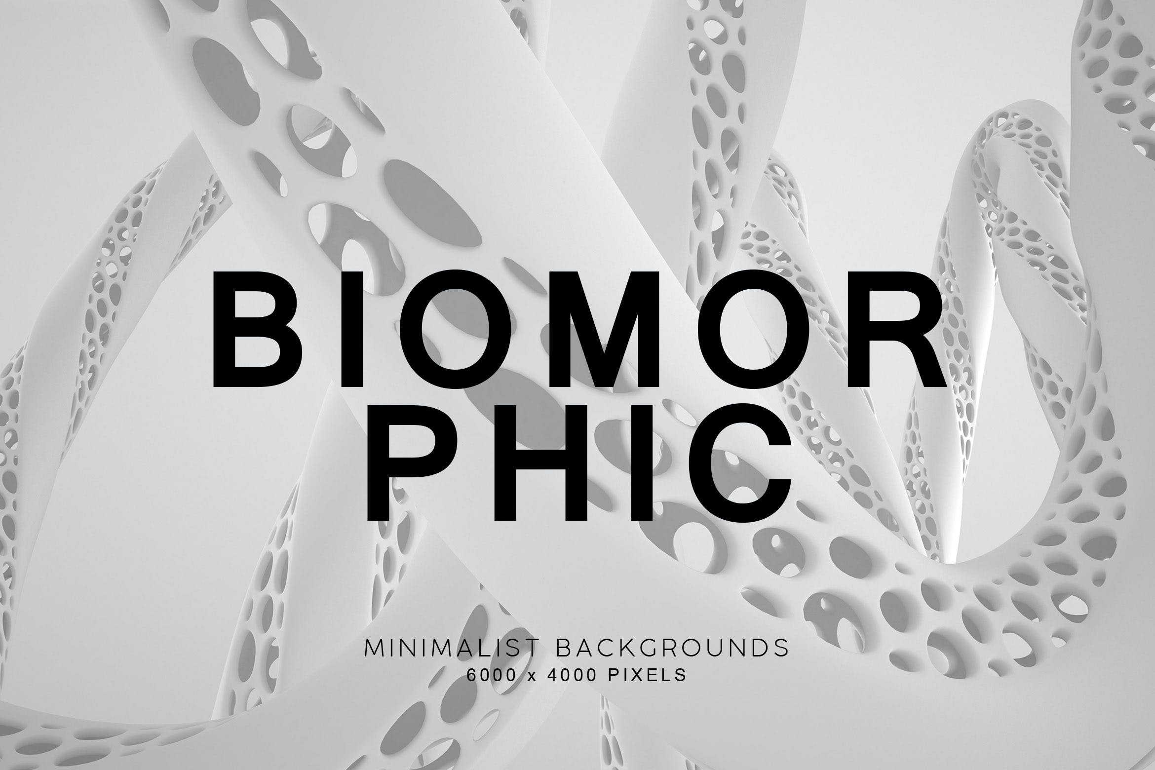 白色抽象生物形态背景素材v2 Biomorphic Backgrounds 2 图片素材 第1张
