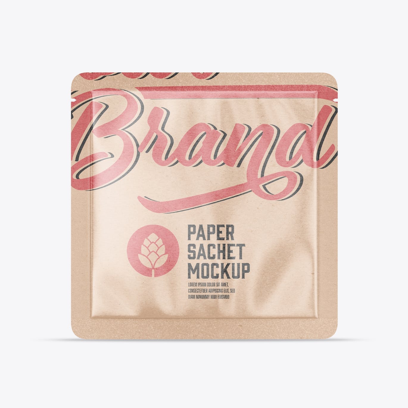 包装牛皮纸袋设计样机图 Pack Kraft Sachet Mockup APP UI 第2张