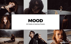 20个黑暗平淡低饱和性冷淡情绪风人像工作室拍摄Lr预设Mood Lightroom预设和LUT