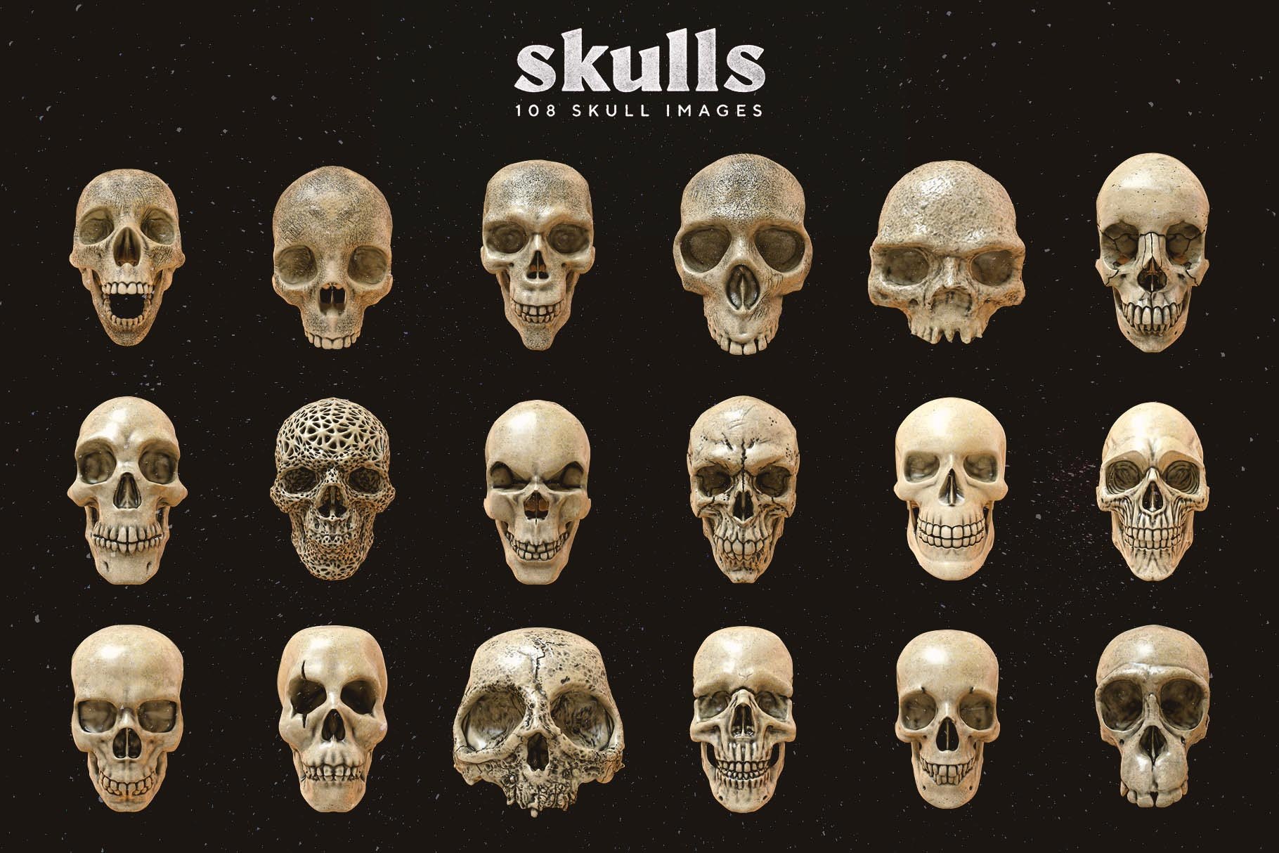 Skulls 108个高分辨率骷髅头骨逼真骨骼金属纹理PNG素材 图片素材 第6张
