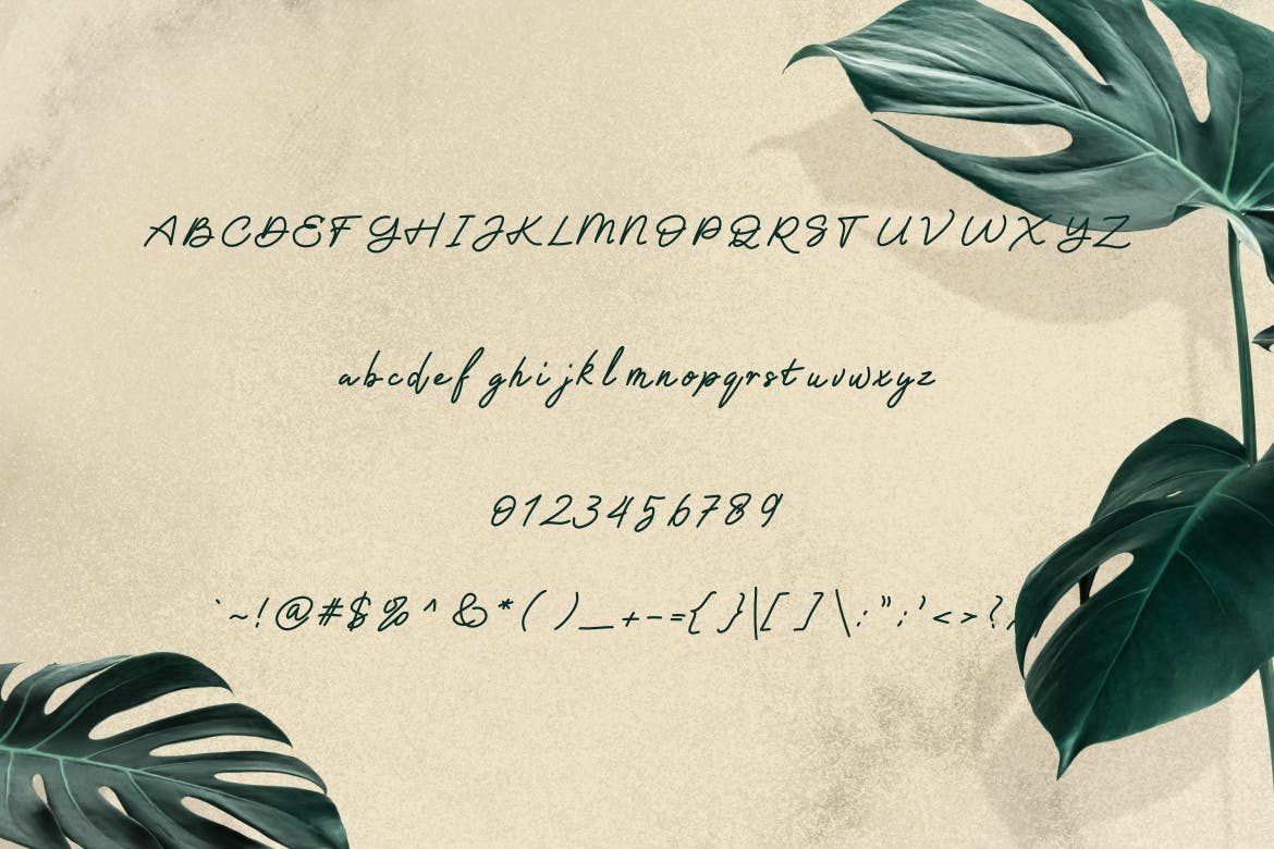 单线签名手写字体 Barnaby Monoline Signature Font 设计素材 第3张