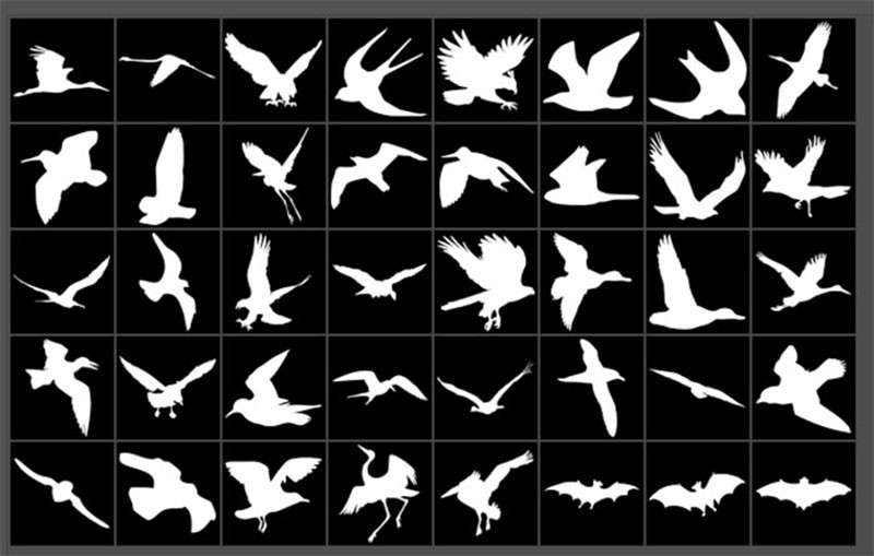 56种飞禽鸟类剪影自定义PS形状，csh格式 设计素材 第1张