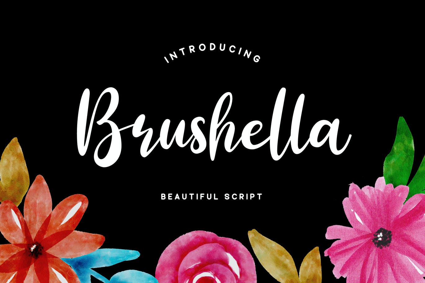 美丽精致的脚本字体 Brushella Font 设计素材 第1张