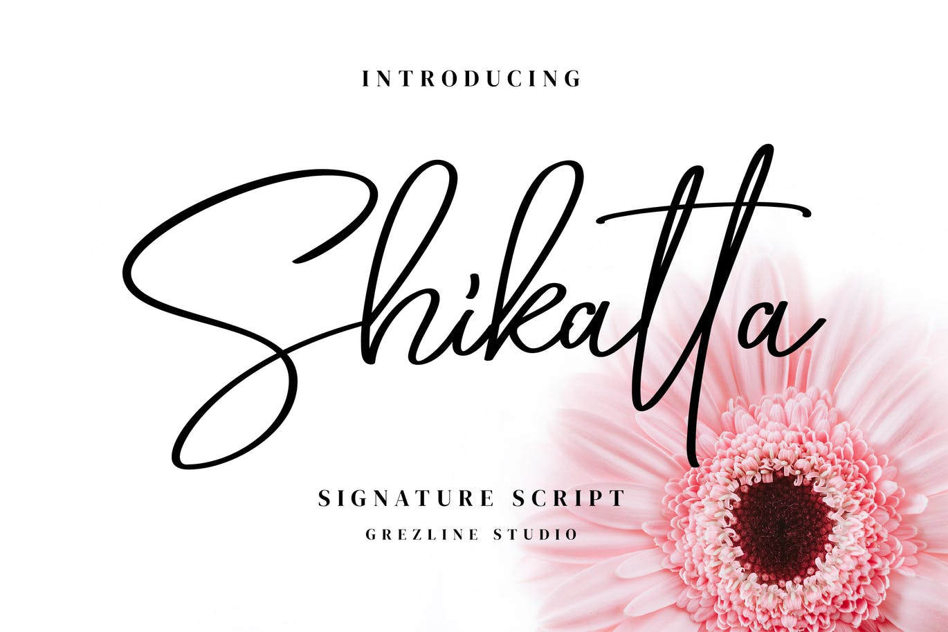 女性主义精美签名字体 Shikatta – Signature Font 设计素材 第1张