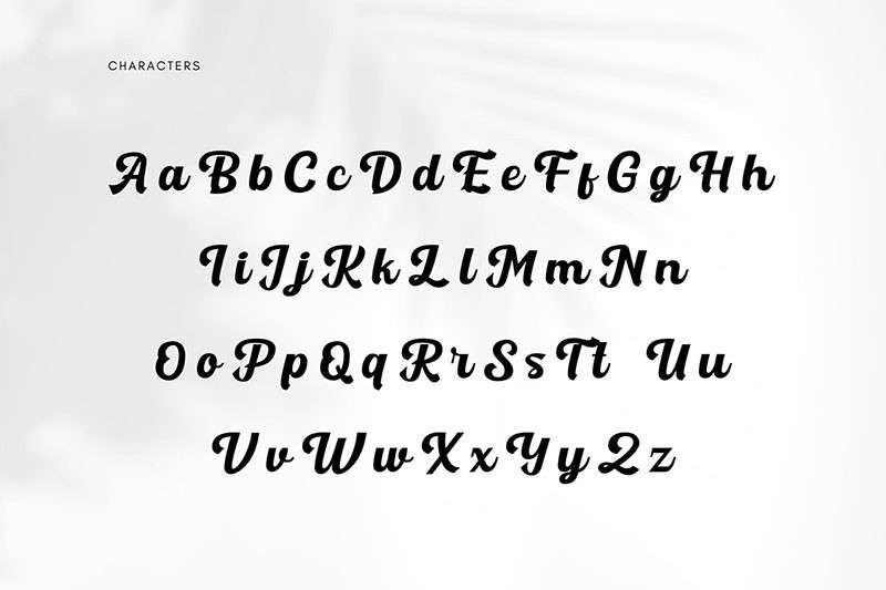 Cunda现代粗线条英文字体，免费可商用 设计素材 第3张