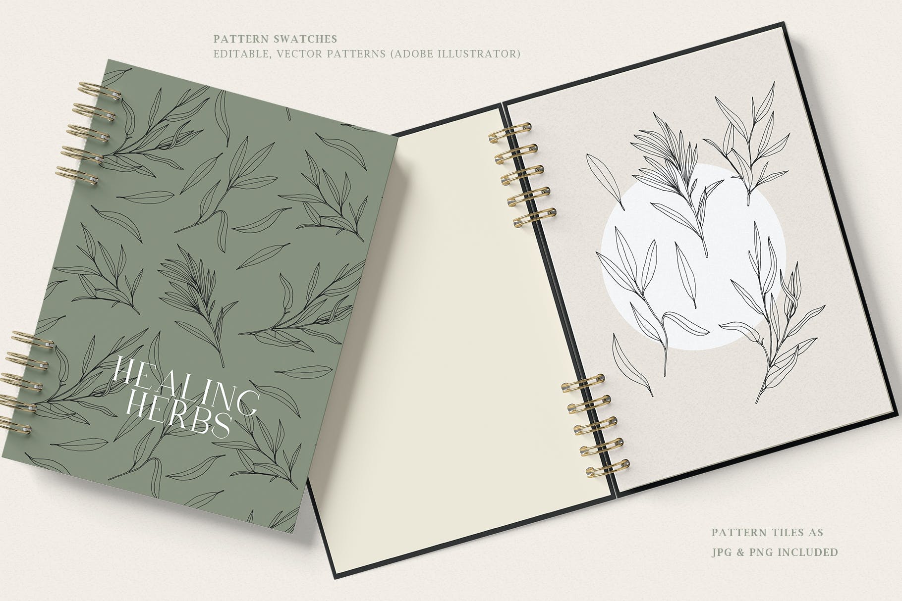 草药无缝矢量图案和插画 Herbs Patterns & Illustrations 图片素材 第2张