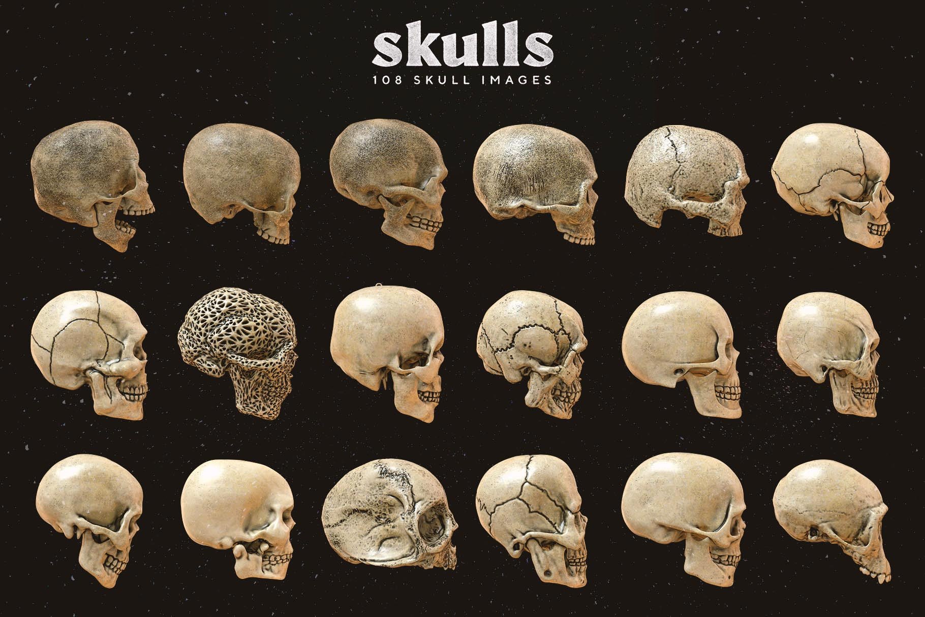 Skulls 108个高分辨率骷髅头骨逼真骨骼金属纹理PNG素材 图片素材 第2张