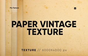 20个旧纸复古纹理背景素材 20 Paper Vintage Textures