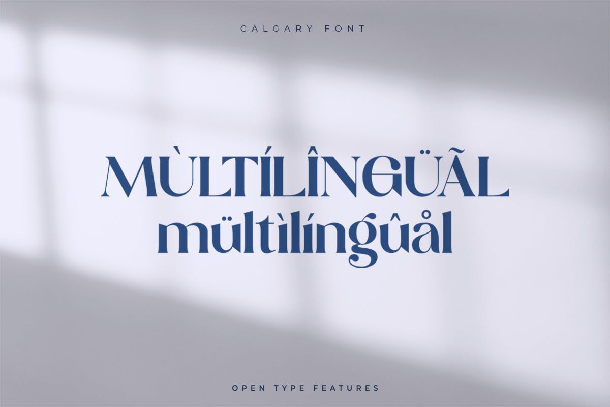 新款时尚衬线字体素材 Calgary | New Stylish Serif Font 设计素材 第13张