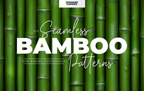 独特的竹子图案素材 Bamboo Patterns