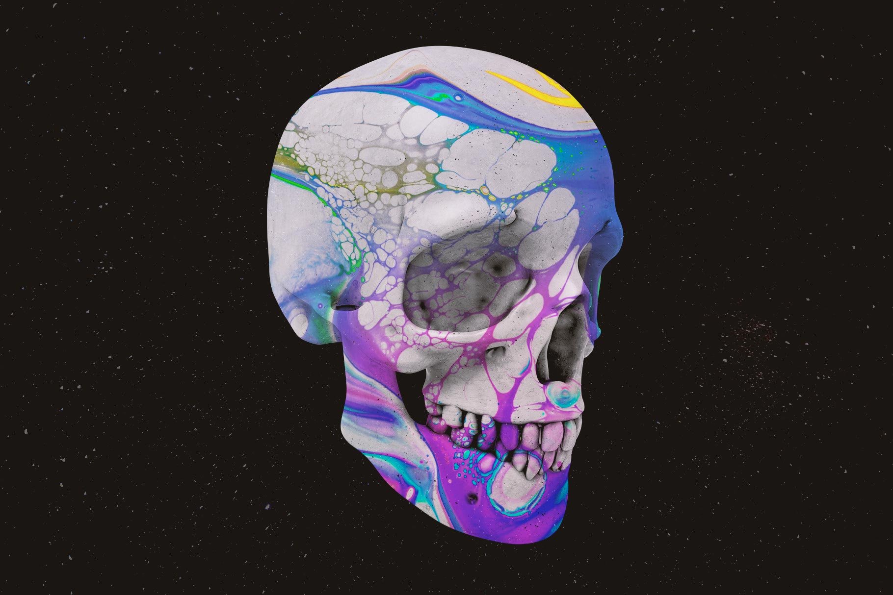 Skulls 108个高分辨率骷髅头骨逼真骨骼金属纹理PNG素材 图片素材 第9张
