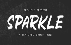 时尚设计纹理笔刷字体 Sparkle – Textured Brush Font