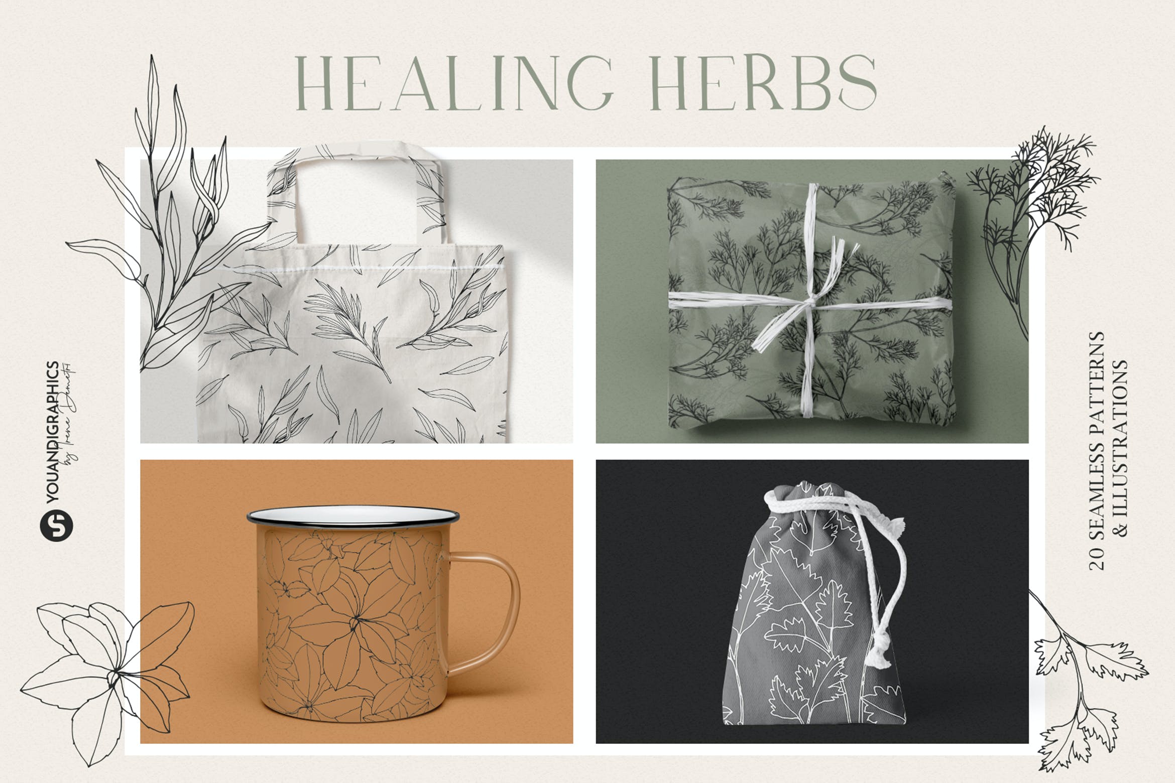 草药无缝矢量图案和插画 Herbs Patterns & Illustrations 图片素材 第1张