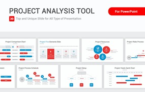 项目分析工具PPT设计模板 Project Analysis Tool Template PowerPoint Template