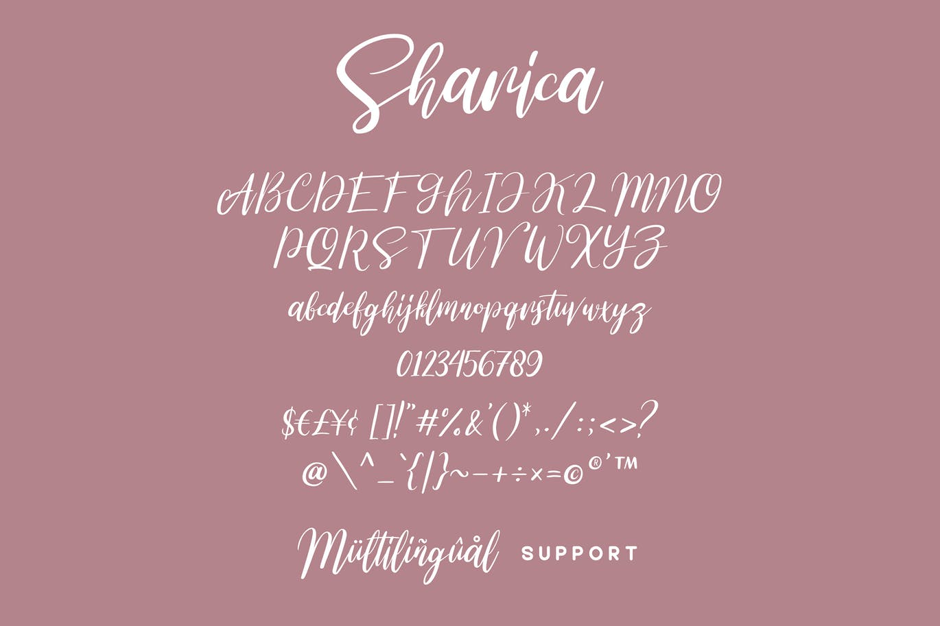 独特风格手绘脚本字体 Sharica Font 设计素材 第3张